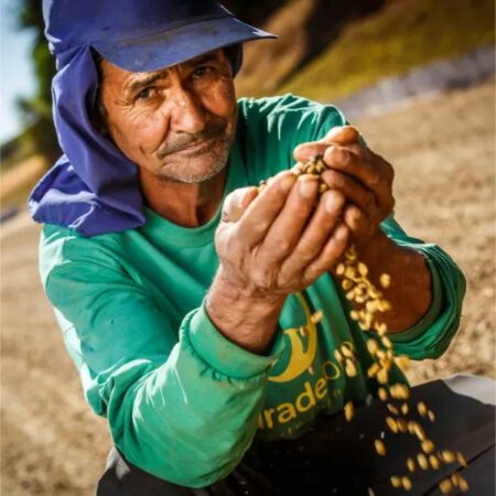 Brasilien Robusta