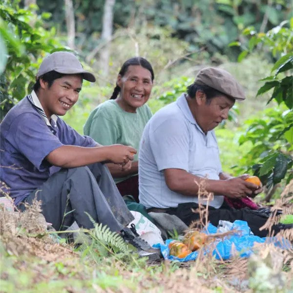Peru El Morito