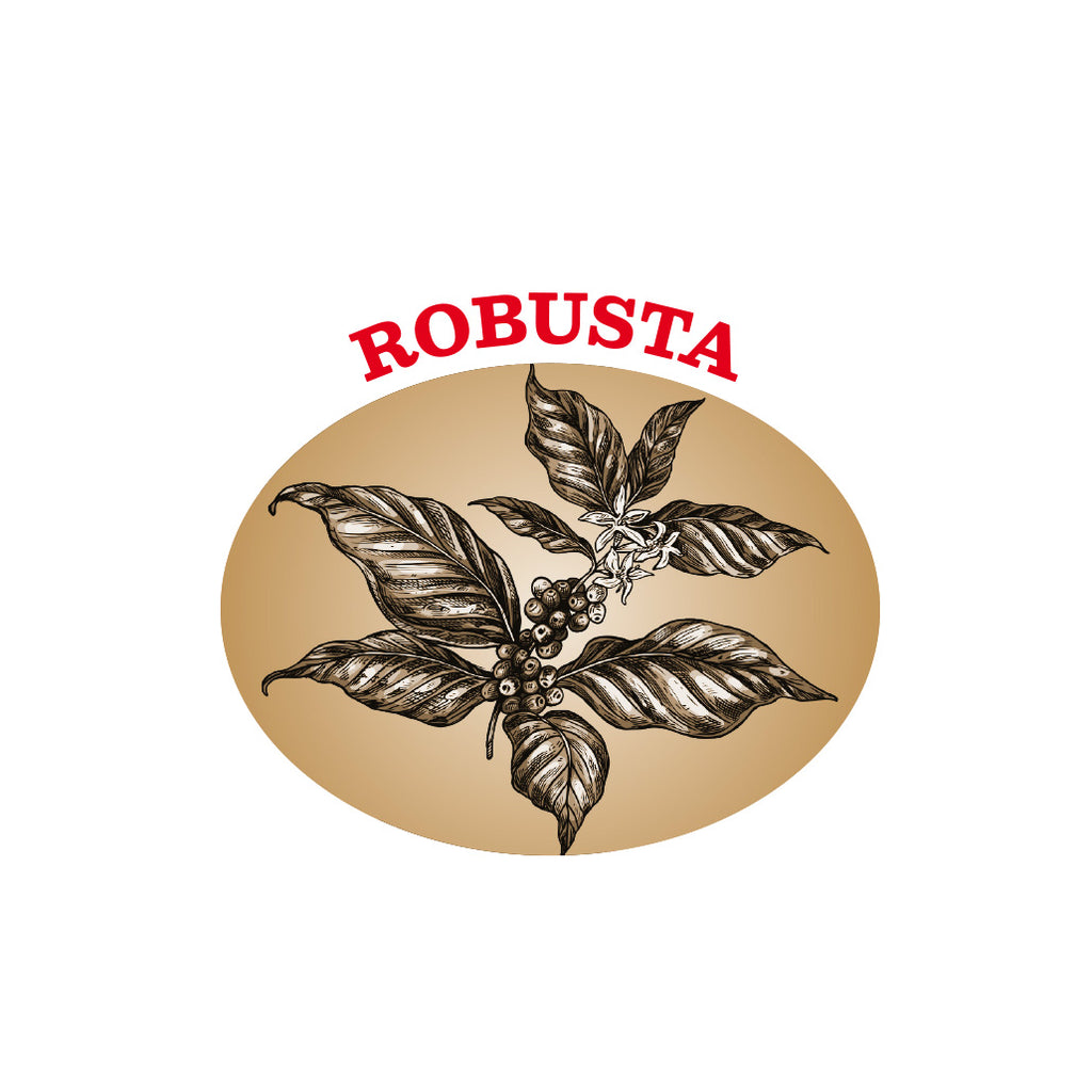 Brasilien Robusta