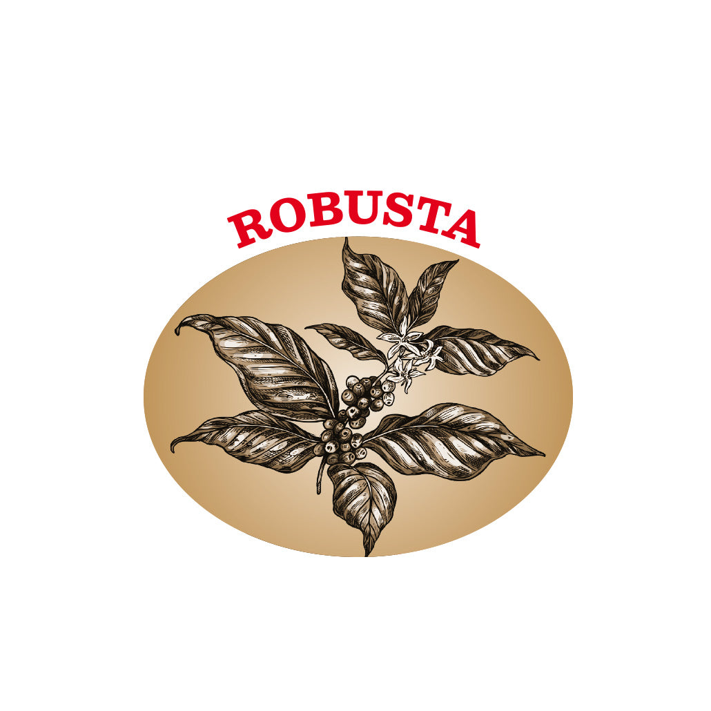 Brasilien Robusta
