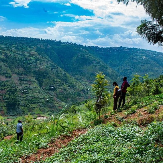 Rwanda Imma Coffee